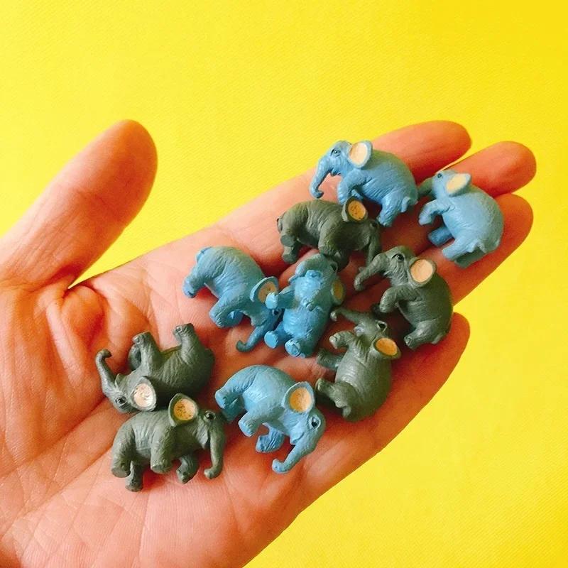 5 Pcs/set Miniatures Animals E - Office Furniture Hon ulasan dan harga
